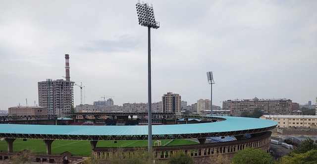 尽管遭遇了 尽管遭遇了