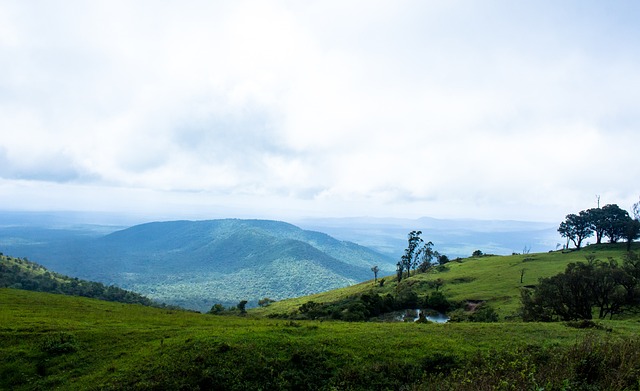 男子在八万人的体育场将老鹰放出，老鹰竟能迅速找到自己的主人.