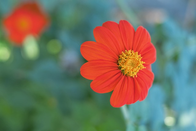 在本届U 在本届U