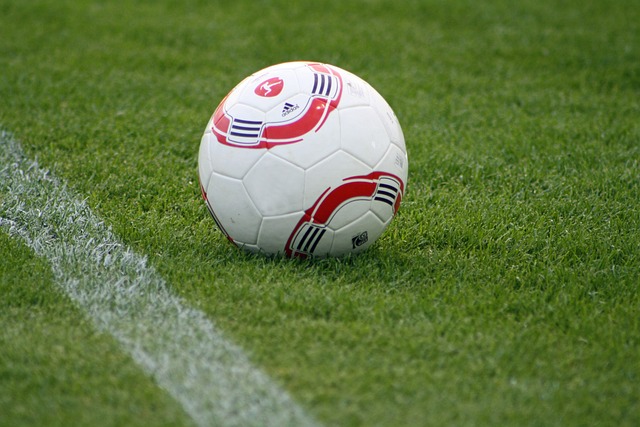 在这个充满 在这个充满