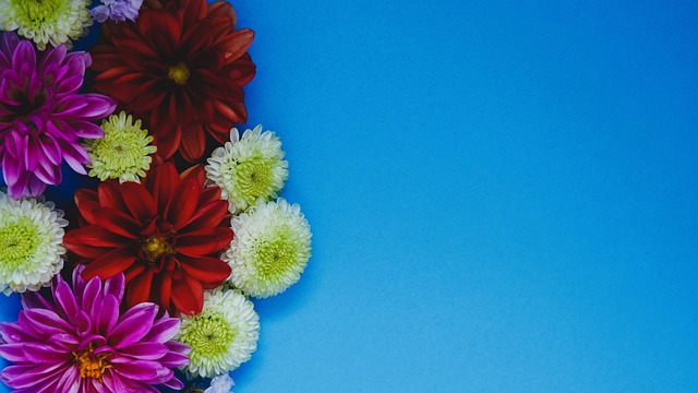 希望通过本 希望通过本