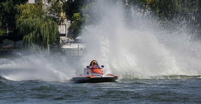 他们展现了 他们展现了