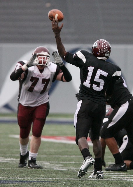 内斯塔的执 内斯塔的执